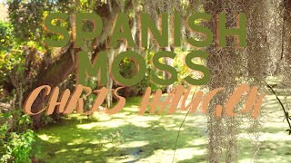 Spanish Moss by Chris Haugen