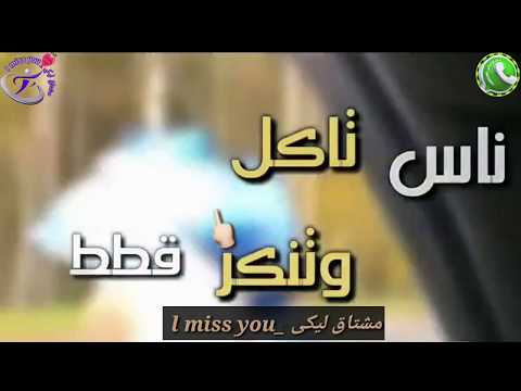 حالات واتس اغنيه عمري راح على خلق فالصو كلهم عاملين حبايب حالات واتس