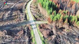 Videos 0709