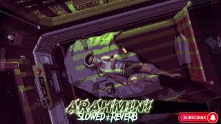 𝐃𝐨𝐧 𝐁𝐢𝐠𝐠 - 𝐀𝐫𝐚𝐡𝐦𝐢𝐧𝐢 𝐬𝐥𝐨𝐰𝐞𝐝 & 𝐫𝐞𝐯𝐞𝐫𝐛