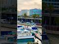 Beautiful Barcelona Spain 🇪🇸🦋#youtubeshorts #shortsfeed #barcelona #spain #catalunya #shorts