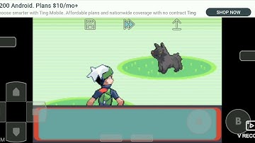 New Pokemon Emerald Nuzlocke Part 1 (Starters, Battles, and Rivals)