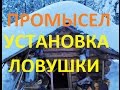 Тайга/Промысел/Установка ловушки на соболя куницу