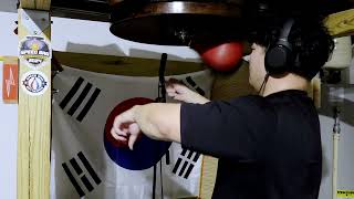 Strive - Hollow Knight: Silksong [Speed Bag Cover]