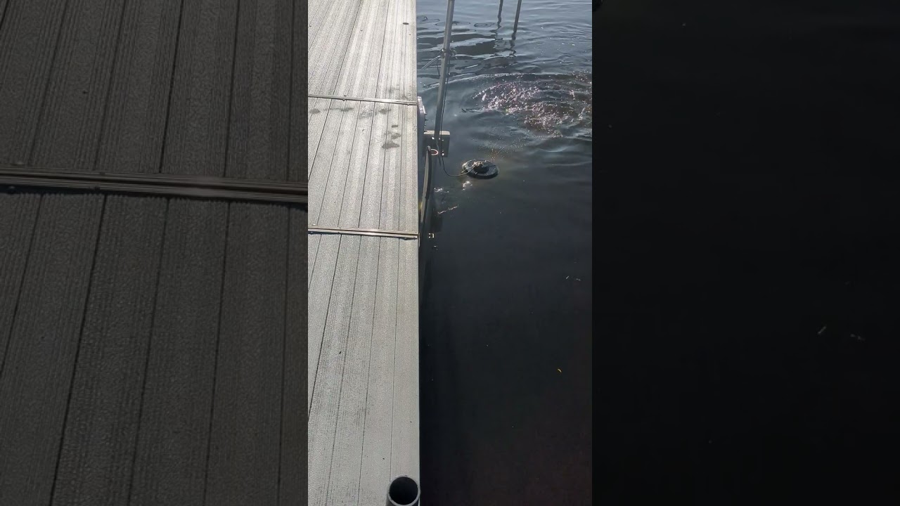 Shallow Water Kit in Action for 