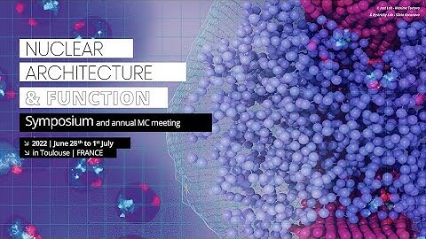 Aymen Attou: "Effects of CTCF and Cohesin complexes on chromatin architecture and genome ..." - INC