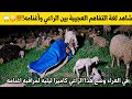 همس لها بكلمات فهدأت فورا شاهد لغة التفاهم العجيبة بين الراعي وأغنامه