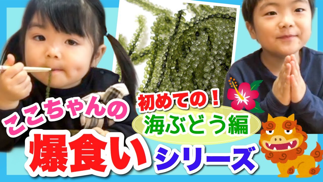 ここちゃんの爆食いシリーズ 海ぶどう編 人生初の味にどハマり プチプチ咀嚼音 あつここで仲良く味わいます Eng Sub Eating Sea Grapes Youtube ここちゃんの爆食いシリーズ 海ぶどう編 人生初の味にどハマり プチプチ咀嚼音 あつここで仲良く味わいます Eng Sub Eating Sea Grapes Youtube