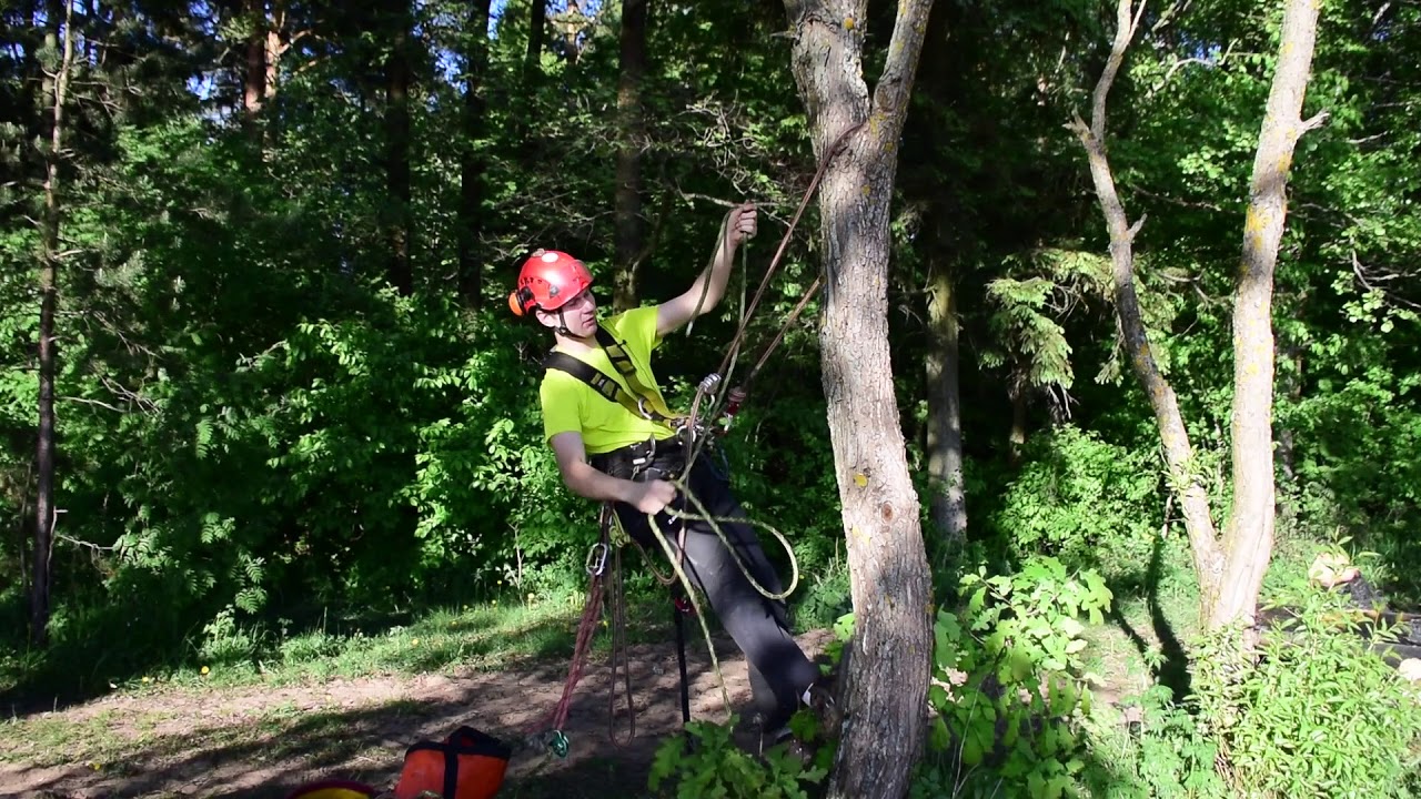 DRT на обрезке деревьев. Подъем по веревке. Часть 2.