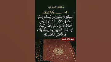 قران كريم راحه نفسيه اسمع بقلبك قبل فوات الاوان #اكسبلور #تيك_توك #دويتو #صباح_الخير #duet #لايك