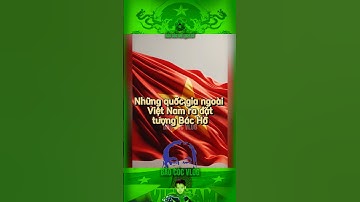 NHỮNG QUỐC GIA NGOÀI VIỆT NAM RA ĐẶT TƯỢNG BÁC HỒ… #bảocóc #nguocdonglichsu #bảocócvlog #shorts #xh