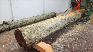 Upgrade Creative Craft Woodworking Ideas from Old Car Tire &amp; Tree Trunks? Basic Wood Recycling Tools