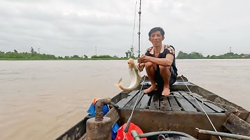 Ra Sông Câu Tôm Nhưng Lại Trúng Mánh Toàn Cá Sát Bự Nấu Được Bữa Cơm Dân Dã | TAG#27