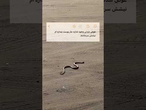 عوض شدنی وجود نداره مار پوست بندازه امنیشش سرجاشه خدا کلیپ