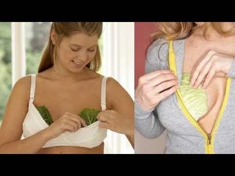 Put Cabbage Leaves onto Your Chest and Legs Before Sleeping If You Experience Frequent Headaches