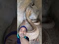 नाग रहते हैं ऐसी अजीब जगह में