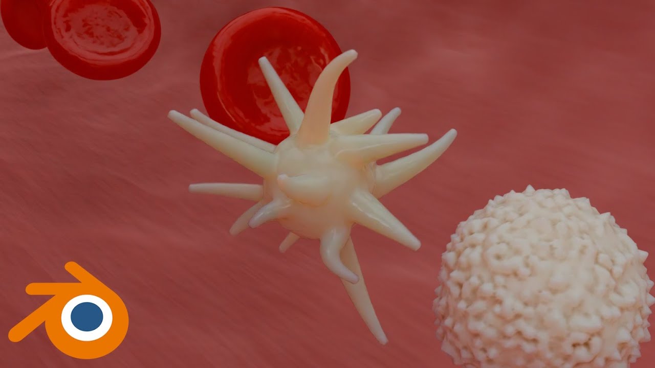 Blood Vessel - Scientific Visualization 3D Animation in Blender