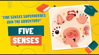 Exploring the Five Human Senses | Sensory Superpowers | Your Amazing Five Senses