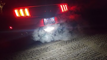 Diode Dynamics LED Reverse Bulb for 2015-2023 Ford Mustang