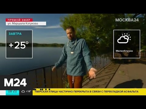 "Утро": температура в Москве составляет 12 градусов тепла - Москва 24