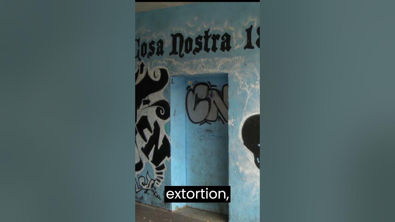 why-did-italians-immigrate-to-america-i-sicilians-cosa-nostra-and