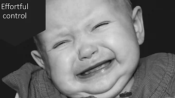 Jaký je typ temperamentu člověka?