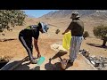 My father heroically snatched back our nomadic lands' document from the officials