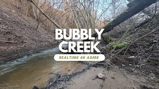 🌲🌲🌲Bubbly creek - Relaxing Nature Sounds - REALTIME -  1 HOUR STUDY FOCUS WORK CONCENTRATION ASMR screenshot 2