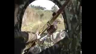 CACCIA CON L'ARCO Prove di tiro su sagoma 3D screenshot 5