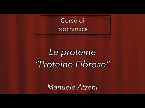 Le proteine fibrose - L35