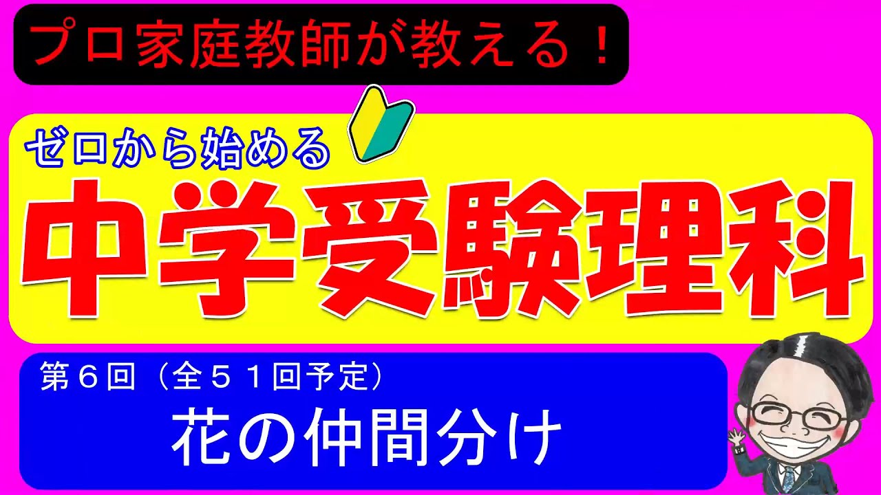 【中学受験理科】花の仲間分けを徹底解説！入試に必須の知識だけをぎゅっと凝縮！【ゼロから始める中学受験理科 第６回】
