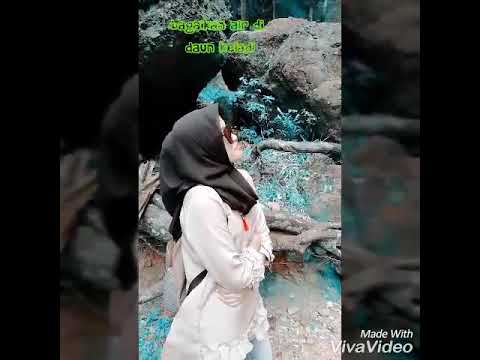 SULTAN - bagaikan air di daun keladi