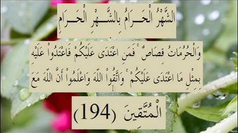 القران الكريم سورة البقرة الاية 194