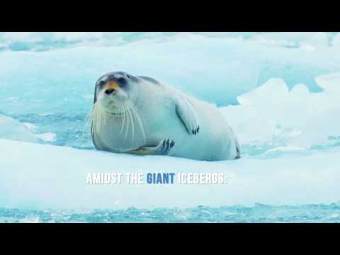 Video: Jökulsárlón Glacier Lagoon: The Complete Guide