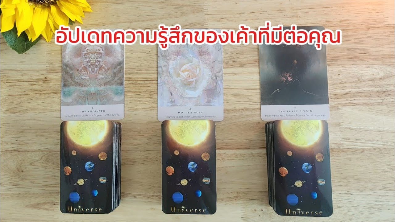 🌻🍀Pick a card อัปเดทความรู้สึกของเค้าที่มีต่อคุณ อดีต-ปัจจุบัน🧚‍♀️💌