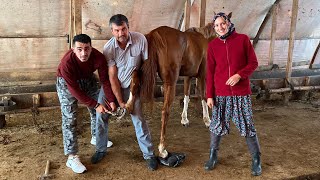 ATIN NALLARINI ÇAKTIK 🧲 ARAZİDE DÖRTNAL 🏇SONU HÜSRAN