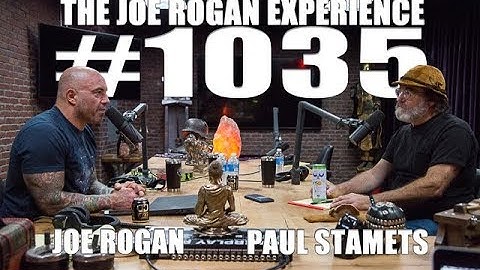 Joe Rogan Experience #1035 - Paul Stamets