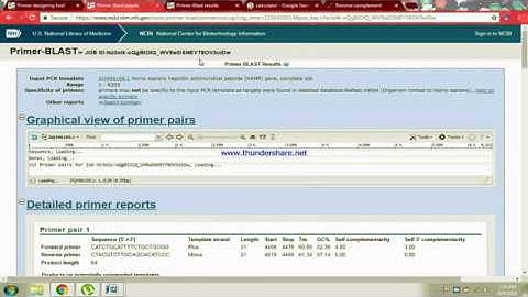 How to design PRIMERS for ARM-PCR