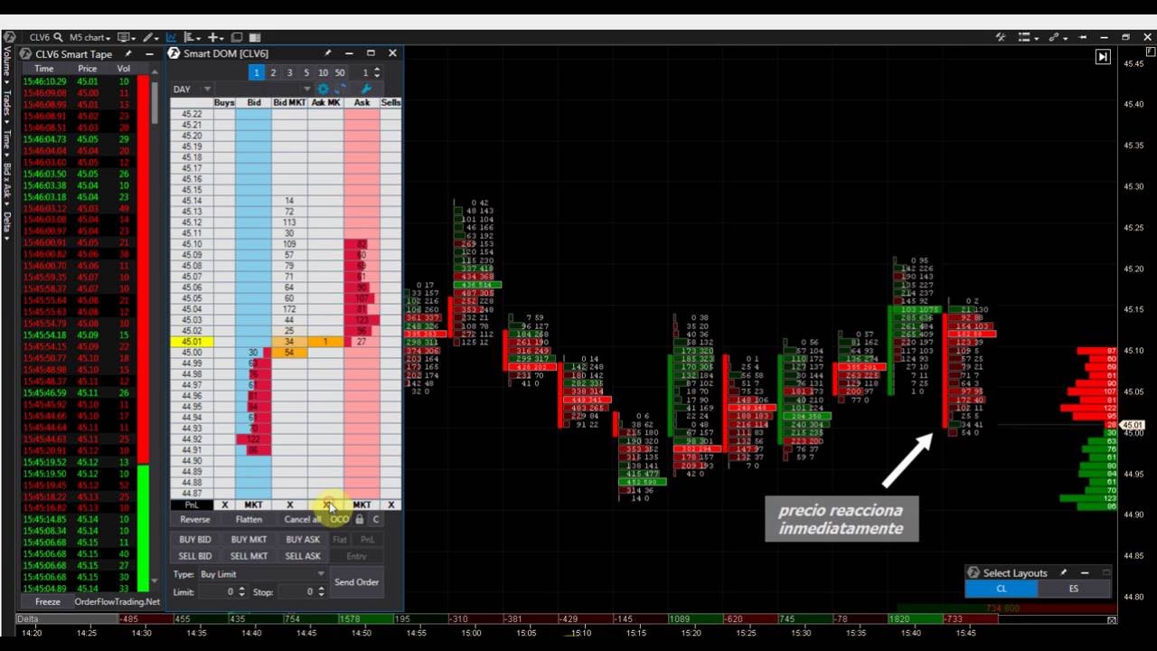 Using Scalping Dom ¿Cómo operar con el DOM?. Scalping con el CL (Futuro del Crudo) [Caso ...