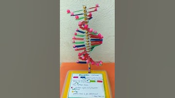 Science project||DNA Model||Investigatory biology project #study #boardexam #biology #neet2022