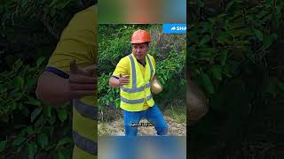 حجر ذهبي واحد كشف حقيقة الصديق وأنهى وفاء السنين