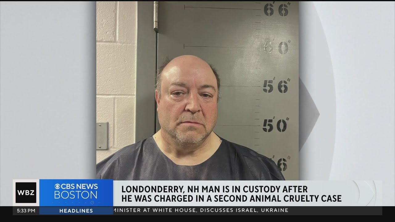 N.H. man charged with animal cruelty for 2nd time after cats found in ...