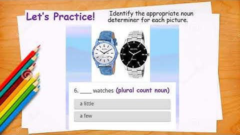 Noun Determiners: Practice / Exercise / Activity (a little or a few) | Teacher Bunny