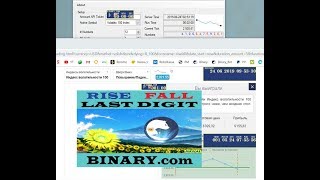 RISE_FALL LAST DIGIT Binary.com