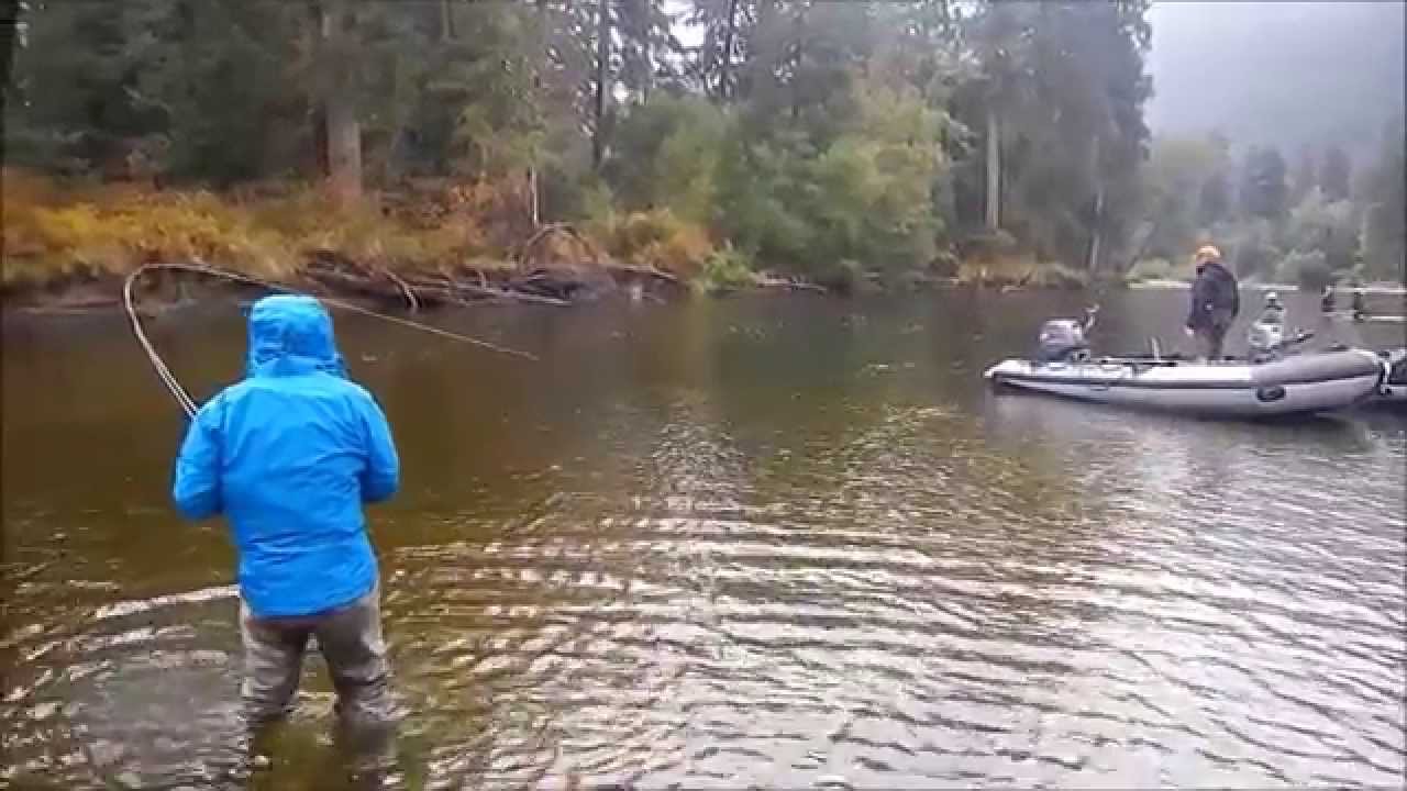 Fly Fishing for Coho, Vancouver Island YouTube