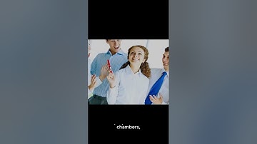 Assessing the Ethical Dilemmas of Moderation