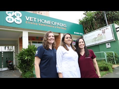 Vídeo: 24 horas na vida de um oncologista veterinário