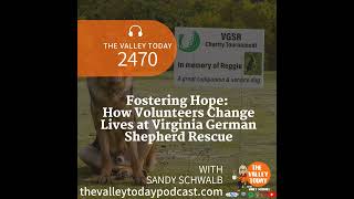 Fostering Hope: How Volunteers Change Lives at Virginia German Shepherd Rescue