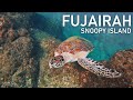The Hidden Paradise of UAE - Fujairah, Snoopy Island