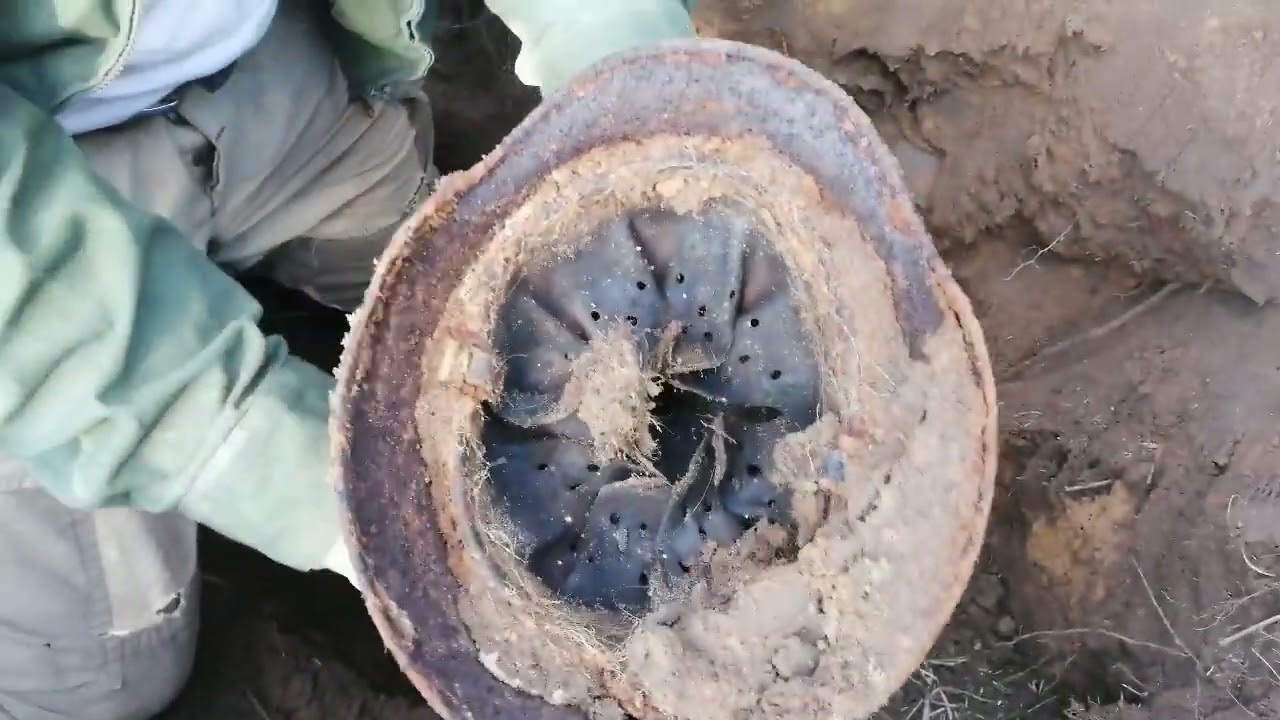 Раскопки по войне в Сталинградских степях